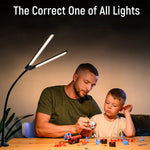 Home Office LED Desk Lamp Double Head Stepless Dimming Eye-Caring Reading Lights 3 Color Mode Flexible Adjustable PC Table Lamps