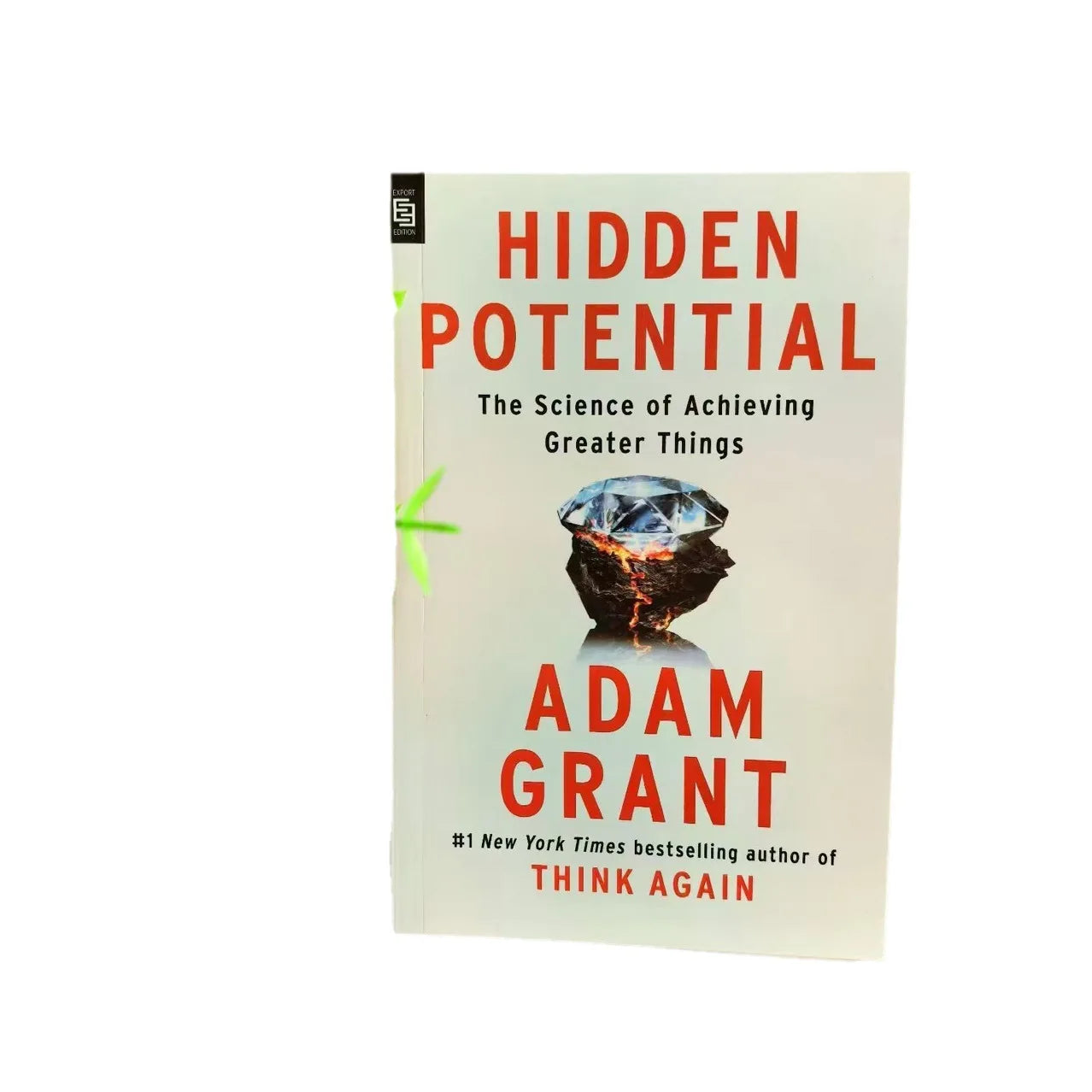 Hidden Potential: Science for Achieving Greater Achievements Adam Grant Adam Grant Personal